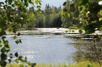 Flusslauf bei Kristinestad