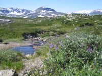 auf den Hochplateau liegt tw. noch Schnee